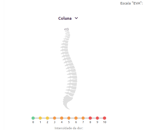 avaliação da coluna vertebral presente na efficlin