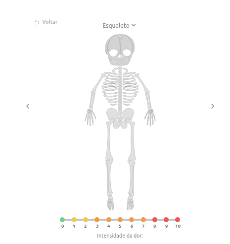 modelo anatômico clicável para osteopatia pediátrica