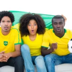 Agenda Fisioterapia: Como Organizar as Consultas Durante a Copa
